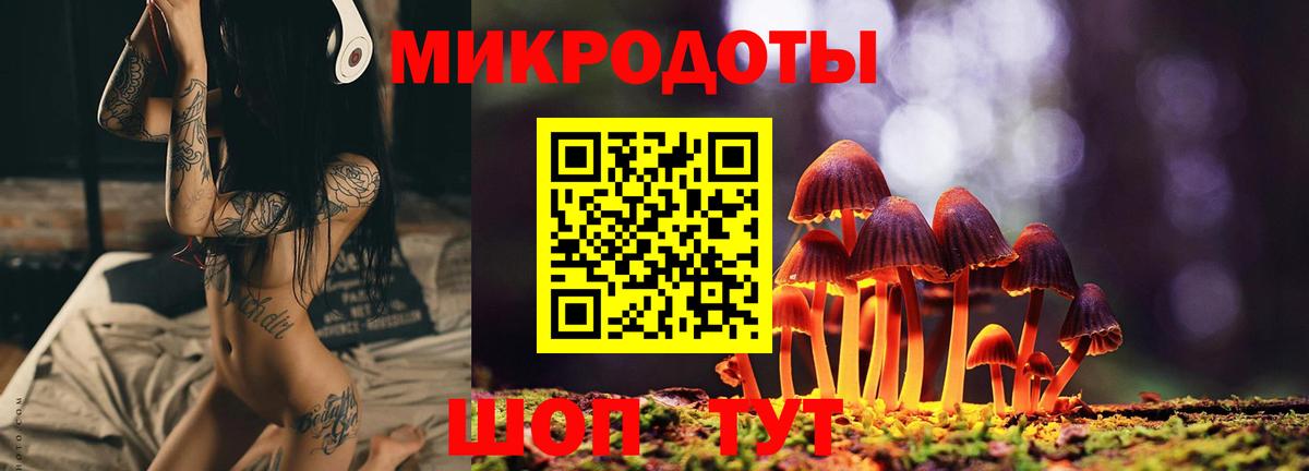 Галлюциногенные грибы Cubensis Ногинск